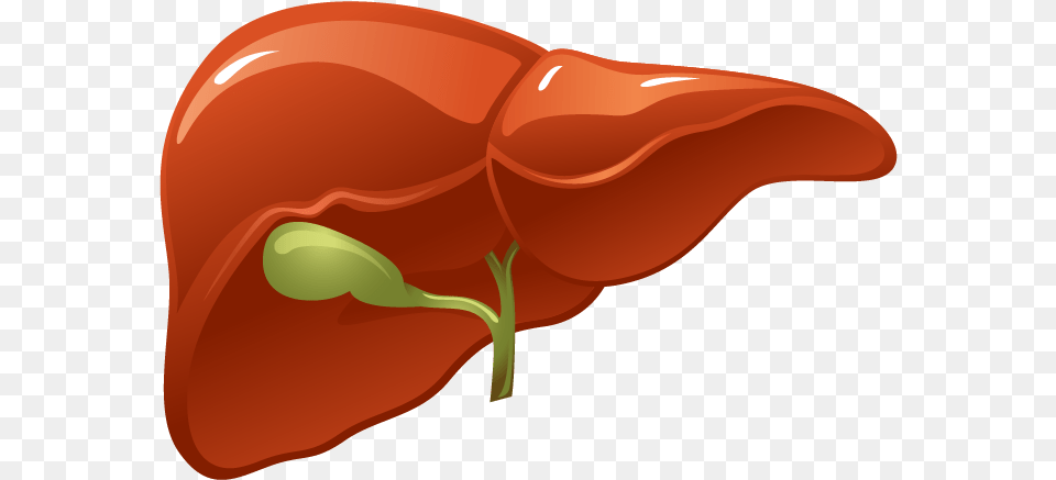 Liver Organ, Bell Pepper, Food, Pepper, Plant Free Png