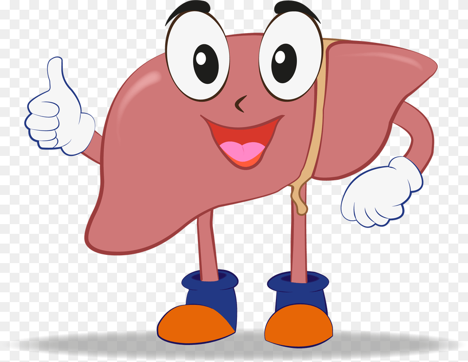 Liver Transplant Animated, Body Part, Finger, Hand, Person Png