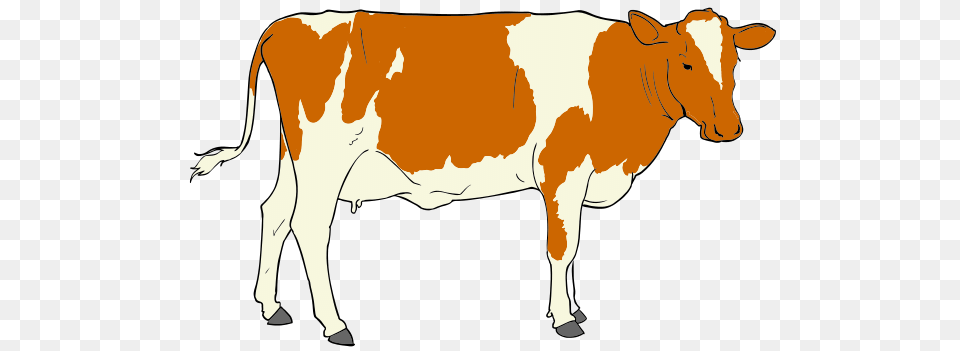 Livestock Cliparts, Animal, Cattle, Cow, Dairy Cow Free Transparent Png