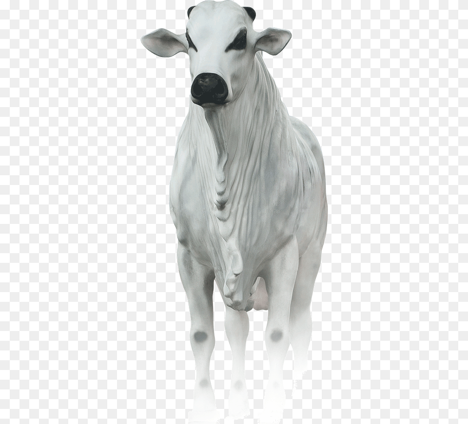 Livestock Figurine, Animal, Bull, Cattle, Mammal Png