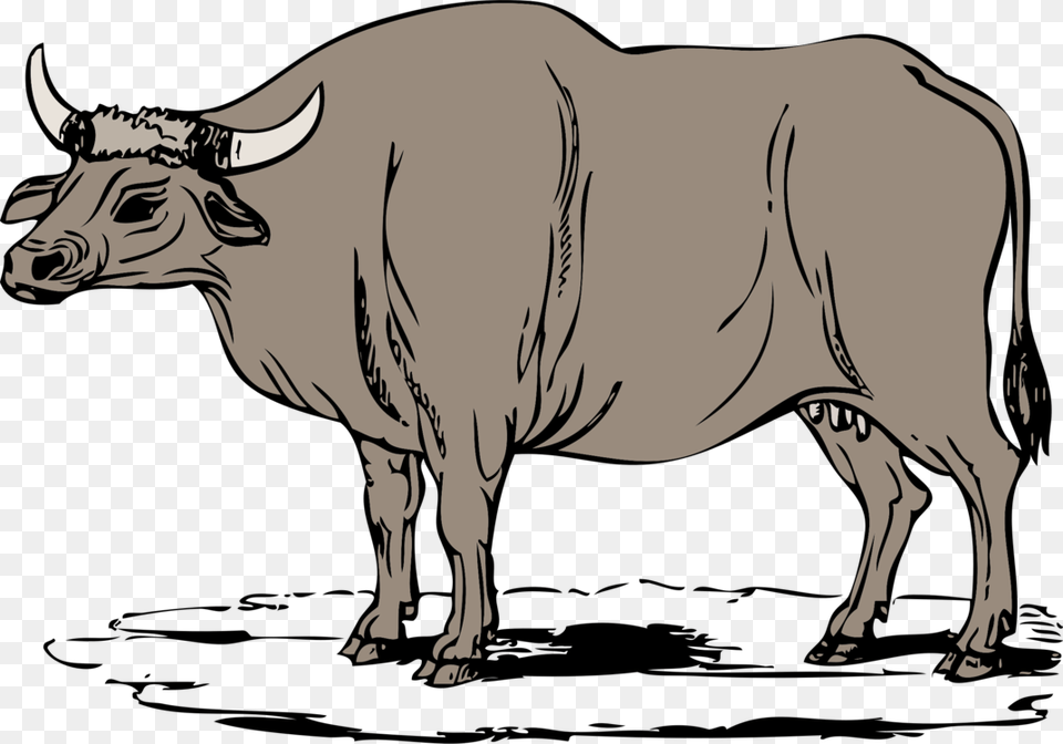 Livestockmonochrome Photographybull Gaur Clipart, Animal, Bull, Cattle, Livestock Free Png Download