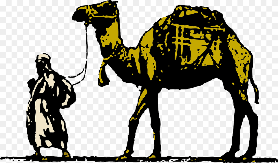 Livestockpack Animalcamel, Animal, Camel, Mammal, Adult Free Transparent Png