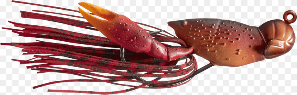 Livetarget Hollow Body Craw Jig Live Target Crawfish, Food, Seafood, Animal, Sea Life Free Png