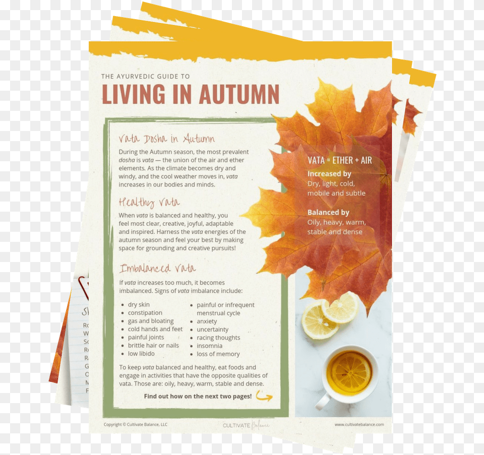 Living In Autumn Icon Caramel, Advertisement, Leaf, Plant, Poster Free Png Download