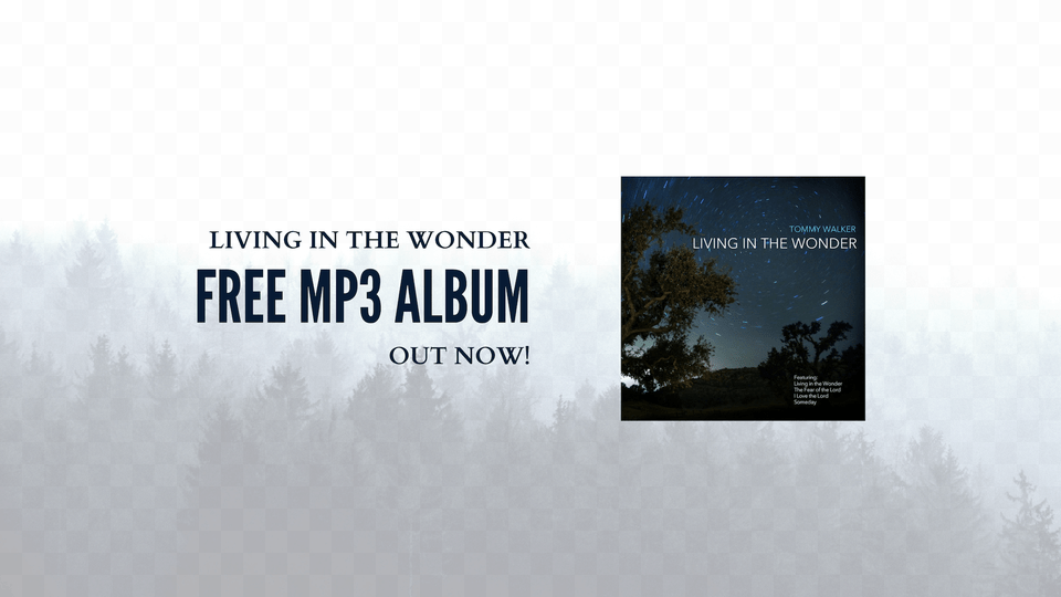 Living In The Wonder Mp3 Album Now Available For, Advertisement, Nature, Outdoors, Weather Free Png