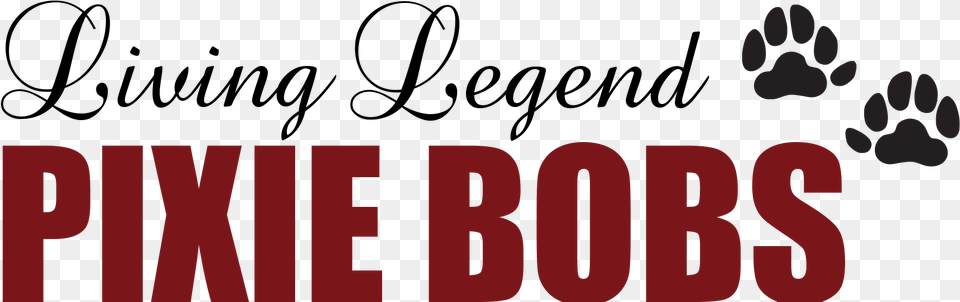 Living Legend Pixie Bobs Calligraphy, Text Free Transparent Png