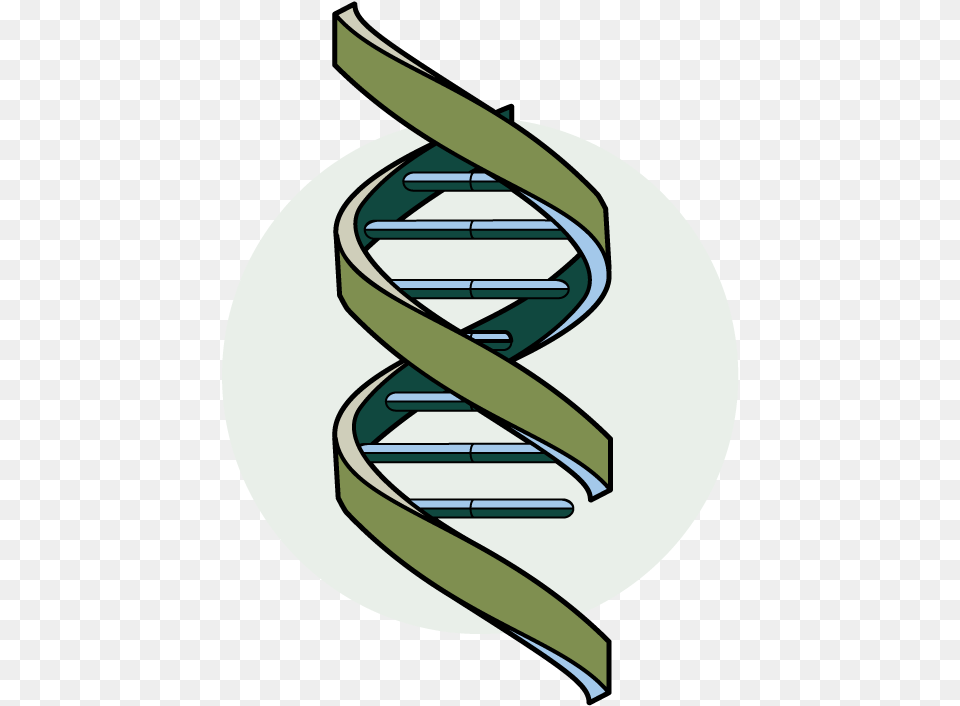 Living Organisms Biology, Architecture, Building, Coil, House Free Transparent Png