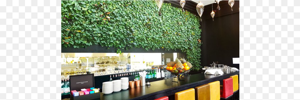 Living Plant Walls Wall, Cafeteria, Indoors, Restaurant, Shop Free Png