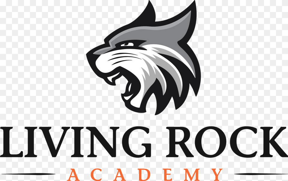 Living Rock Academy Texas, Electronics, Hardware, Logo Free Png Download