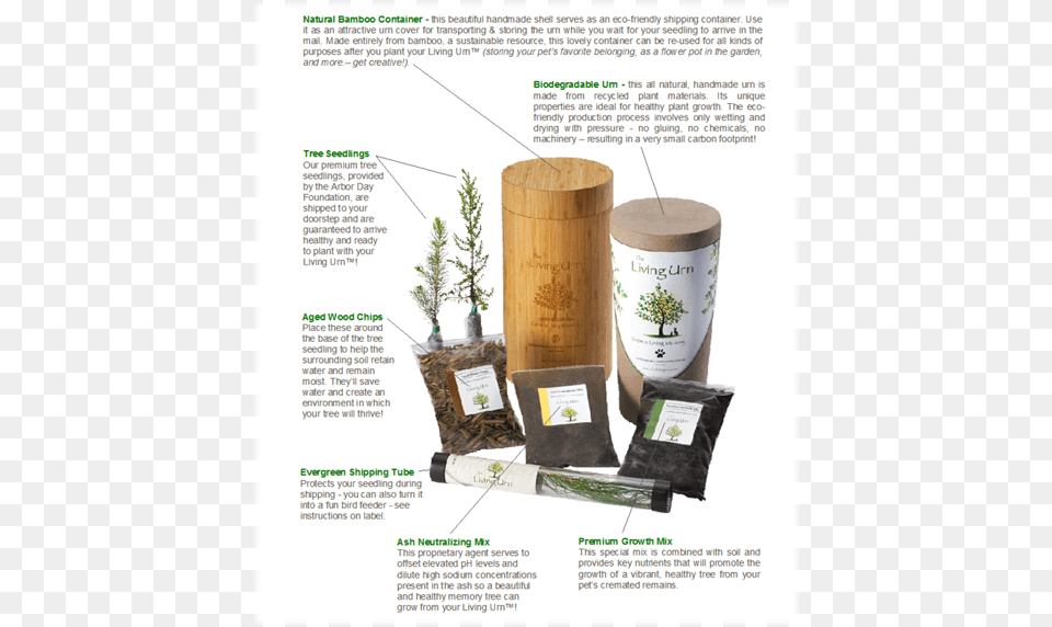 Living Urn, Planter, Jar, Plant, Vase Free Png