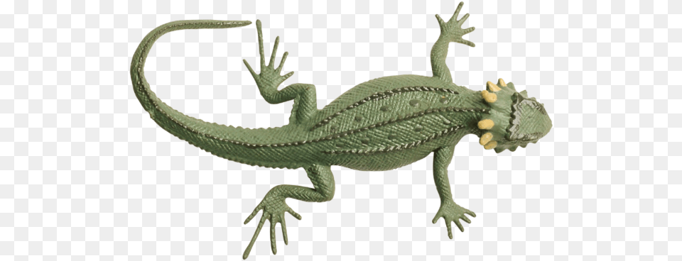 Lizard, Animal, Gecko, Reptile, Electronics Png Image