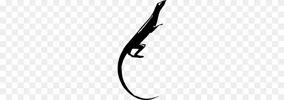 Lizard Gray Free Png Download