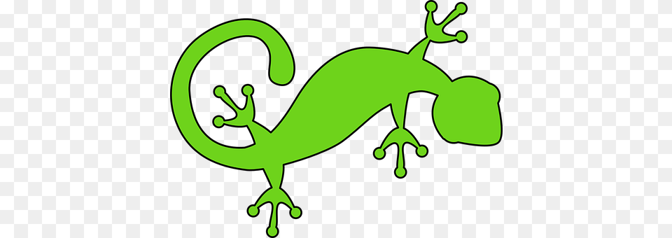 Lizard Animal, Gecko, Reptile, Fish Free Transparent Png