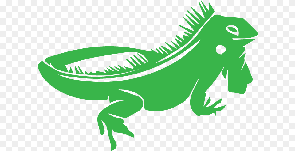 Lizard Chameleons Reptile Green Iguana Iguanas, Animal, Person, Face, Head Free Png