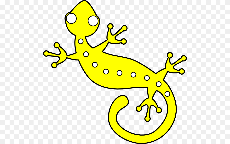 Lizard Clipart, Amphibian, Animal, Salamander, Wildlife Png