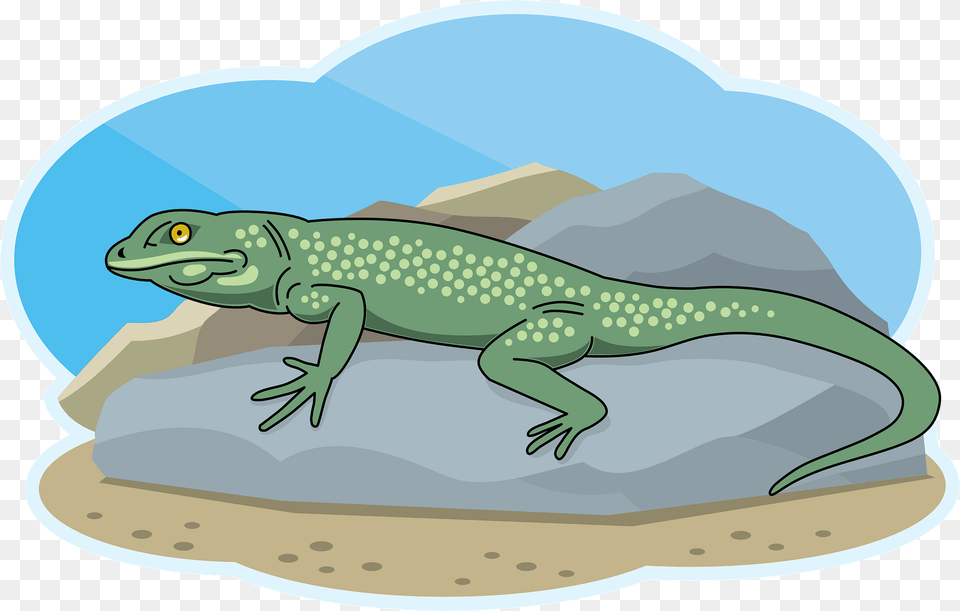 Lizard Clipart 2000, Animal, Gecko, Reptile, Green Lizard Png Image