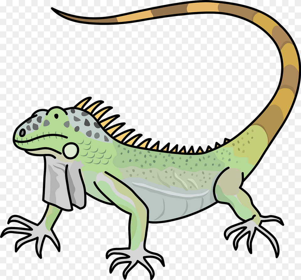 Lizard Clipart, Animal, Iguana, Reptile, Dinosaur Png Image