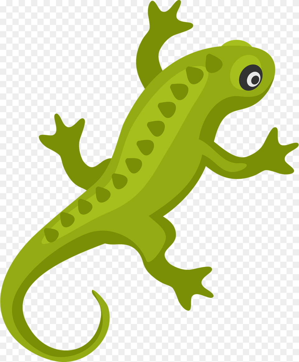 Lizard Clipart, Animal, Gecko, Reptile, Wildlife Free Transparent Png