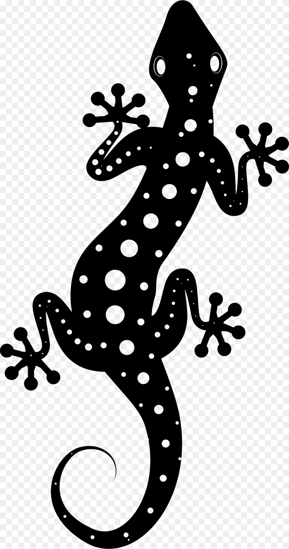 Lizard Clipart, Animal, Gecko, Reptile, Cross Free Png