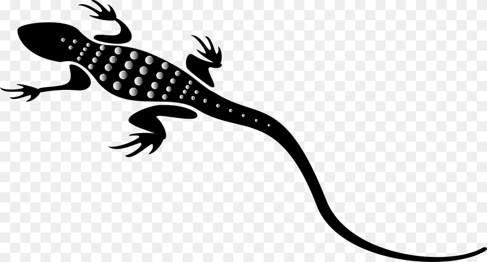 Lizard Clipart, Animal, Gecko, Reptile, Kangaroo Free Png