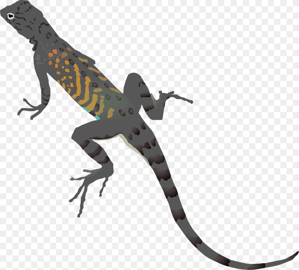 Lizard Clipart, Animal, Reptile, Gecko, Wildlife Free Png Download
