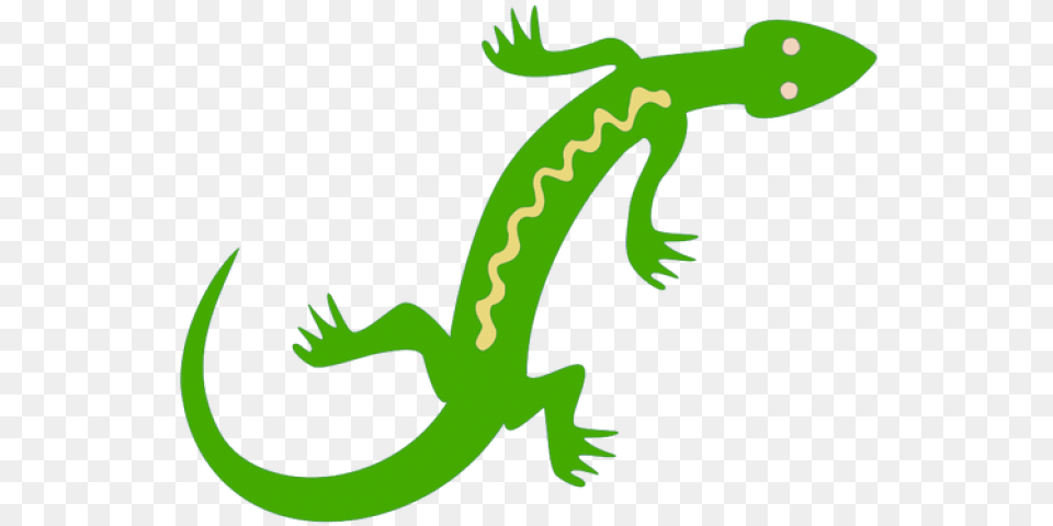 Lizard Clipart Jungle Lizard Clipart, Animal, Gecko, Reptile, Dinosaur Png