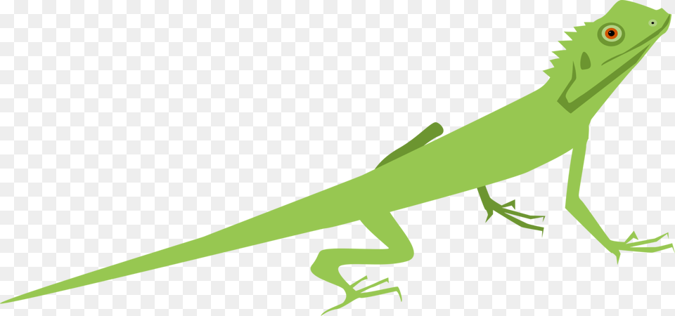 Lizard Common Iguanas Gecko Chameleons Reptile, Animal, Green Lizard, Iguana Free Transparent Png