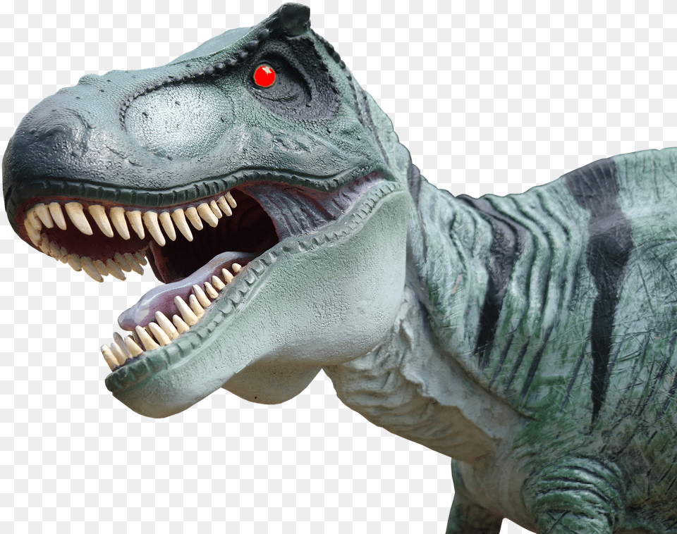 Lizard Dinosaur, Animal, Reptile, T-rex Free Transparent Png