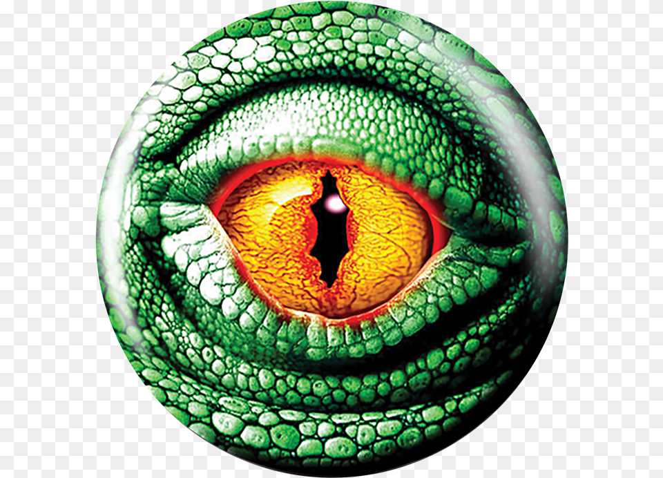 Lizard Eye Bowling Ball, Animal, Reptile, Snake Free Png Download