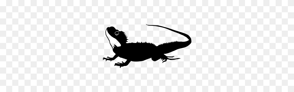 Lizard Gecko Stickers Car Decals, Animal, Iguana, Reptile Png