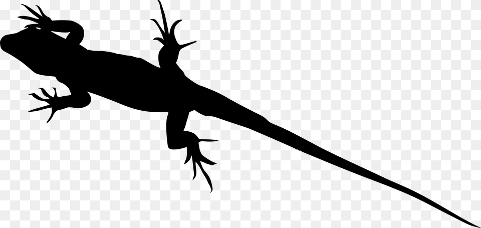 Lizard Graphic Transparent Background, Gray Png