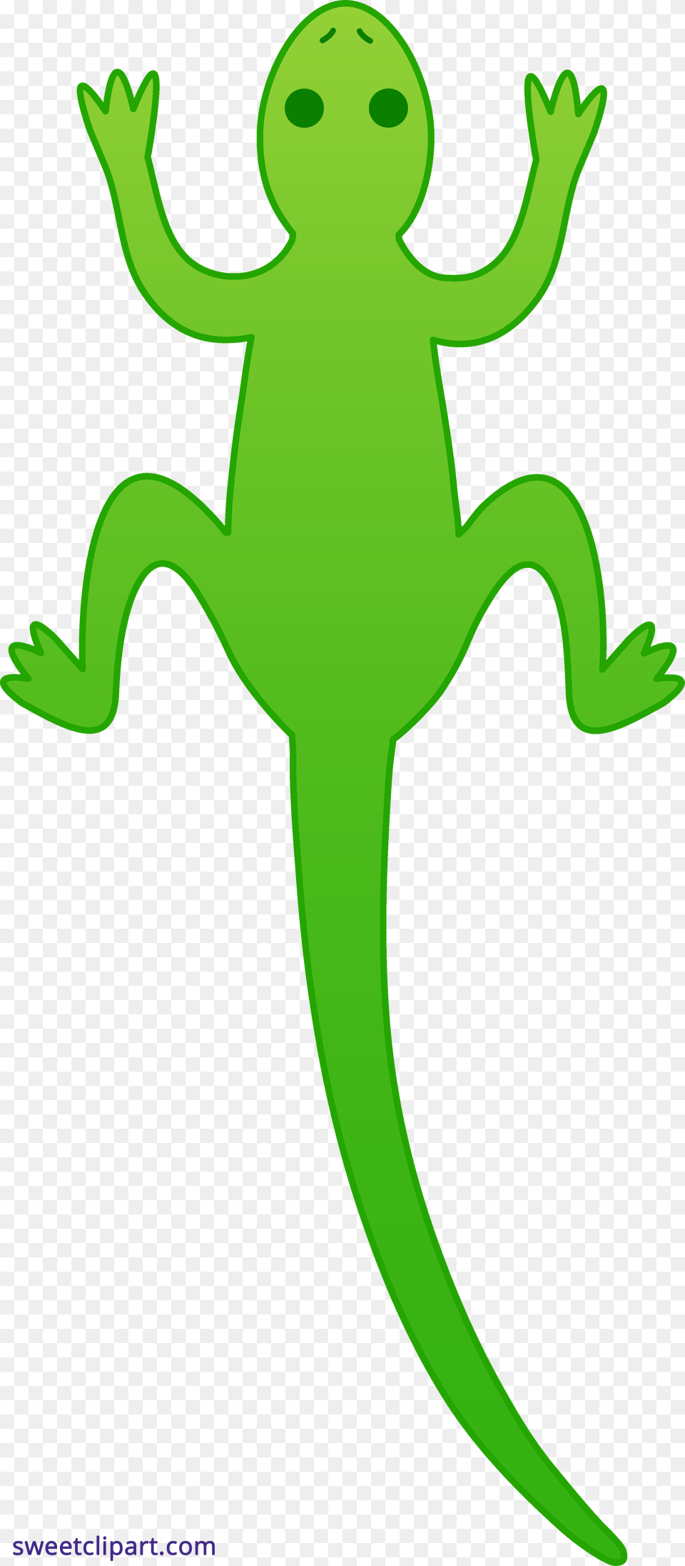 Lizard Green Clipart, Animal, Reptile, Gecko, Wildlife Free Png Download