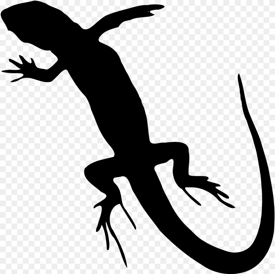 Lizard Reptile Clip Art Lizard Black And White, Gray Png Image