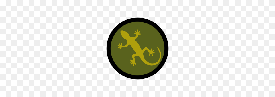 Lizard Reptile Margarita Island Green Iguana, Animal, Gecko Free Png Download
