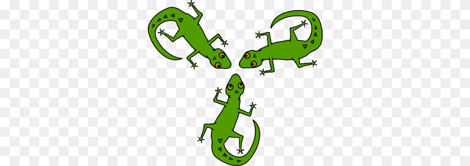 Lizard Reptile Margarita Island Green Iguana, Animal, Gecko, Person, Face Png Image