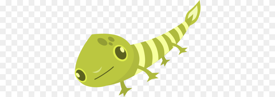 Lizard Reptile Salamander Gecko Lacertids, Animal, Baby, Person, Wildlife Free Png