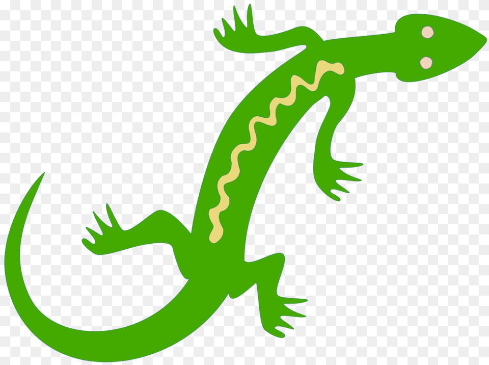 Lizard Reptile Salamander Lacertids Gecko, Animal, Dinosaur, Wildlife, Amphibian Free Png Download