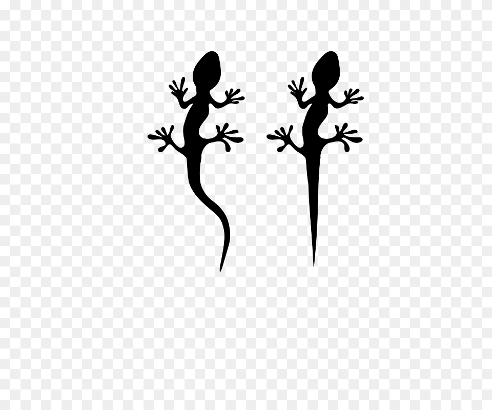 Lizards Free Vector, Gray Png