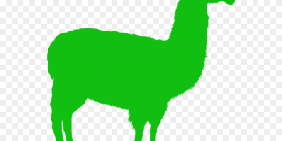 Llama, Animal, Mammal, Person Png Image