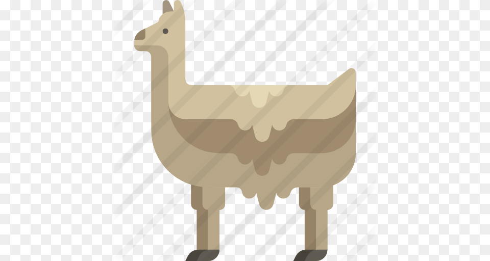 Llama, Animal, Mammal, Kangaroo Png