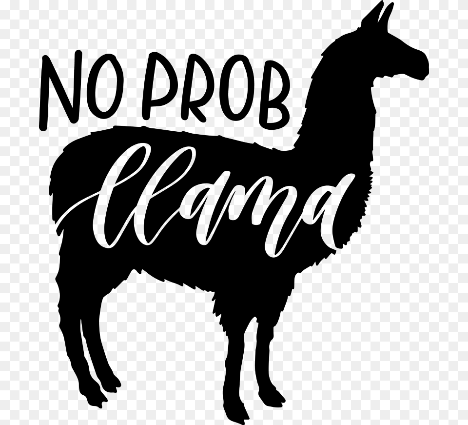 Llama, Gray Free Png