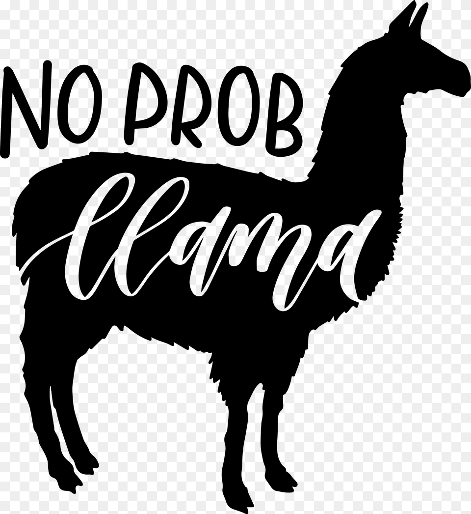 Llama, Gray Free Png