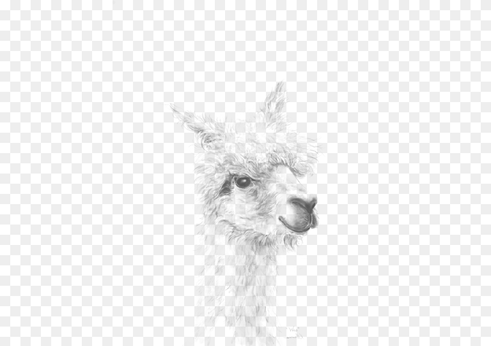 Llama, Nature, Outdoors, Snow, Snowman Png