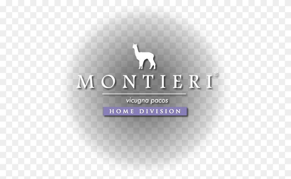 Llama, Photography Free Transparent Png