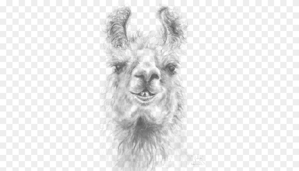 Llama, Nature, Outdoors, Snow, Snowman Png