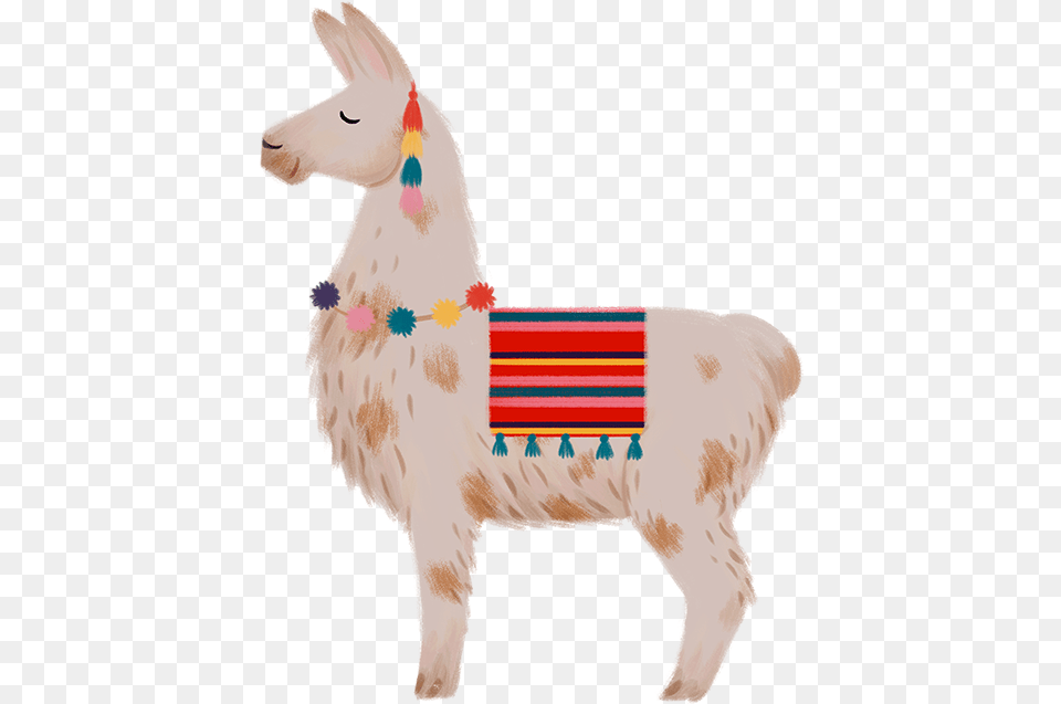 Llama, Animal, Mammal Free Transparent Png