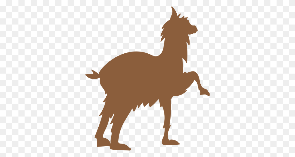 Llama Animal Silhouette, Mammal, Horse Free Png Download
