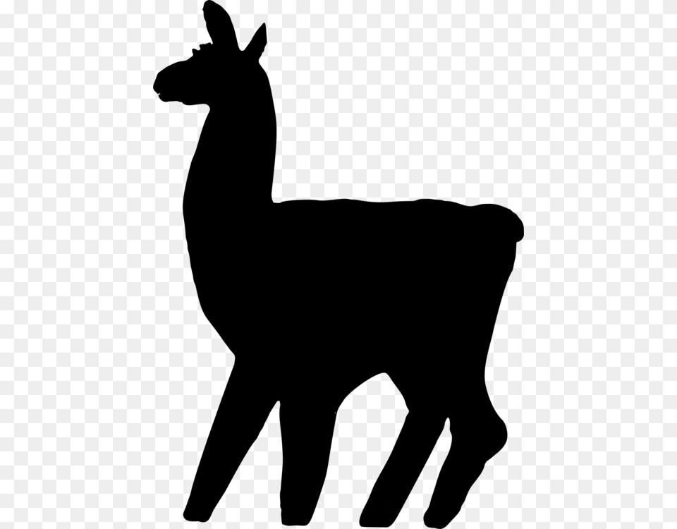 Llama Animal Silhouettes Camel Drawing, Gray Free Png