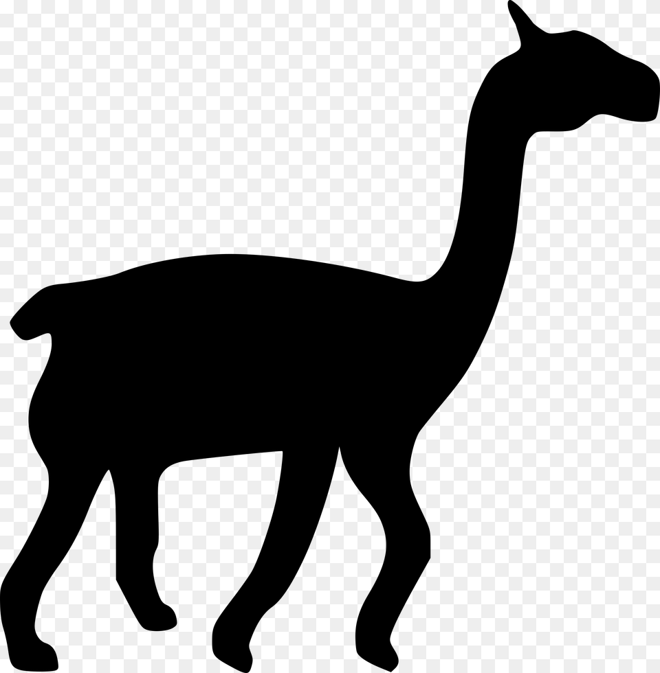 Llama Camel Clip Art, Gray Free Transparent Png
