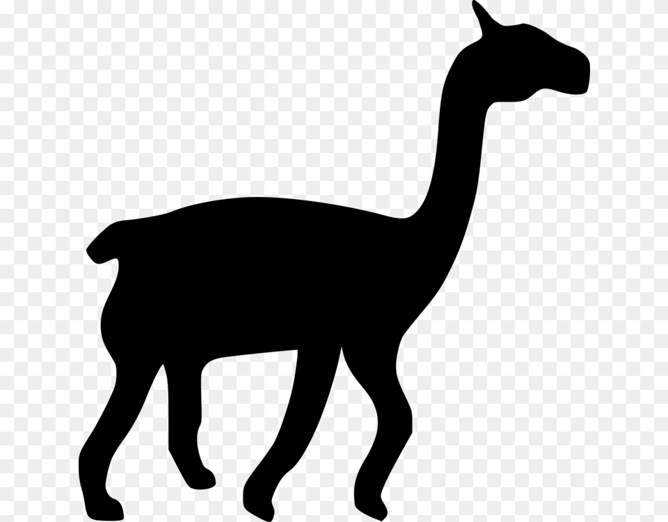 Llama Camel Silhouette Cat Drawing, Gray Png